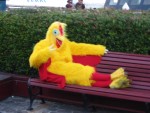 Funkey Chicken on Pier 39